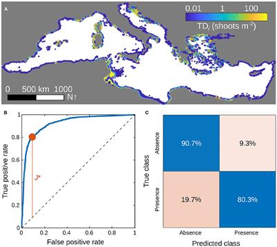 Identification of Ecological Hotspots for the Seagrass Posidonia oceanica via Metapopulation Modeling